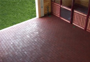Dog Bone Rubber Pavers for Horse Stables, Barn Aisles & Wash Bays