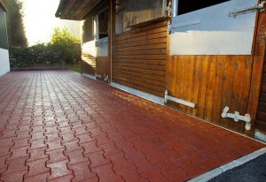 Dog Bone Shape Rubber Pavers for Horse Stable