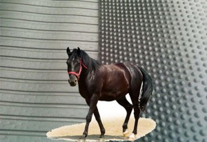 Rubber Horse Stall Mats with Bubble Top