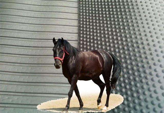 OEM Manufacturer Horse Rubber Mat -
 Rubber Horse Stall Mats with Bubble Top – Nama Rubber